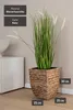 VIVANNO Pot de fleurs jacinthe d'eau ASIA cube, naturel Voir les images du produit 4