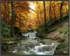 Wallario Wandbild Kleiner Bach über Steine im Herbstwald, Produktbild-Vorschau 1