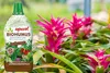 Biohumus Flüssigdünger für Zimmerpflanzen 1l Produktbild-Vorschau 7