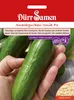 Dürr-Samen - Snackgurke Iznik F1 - Saatgut - 1115 Produktbild-Vorschau 1