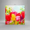 Bild auf Leinwand - Leinwandbild - Tulpe Blume Garten Produktbild-Vorschau 3