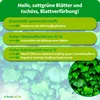 Purgrün Efeu-Dünger 1 Liter, Produktbild-Vorschau 3
