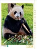CALVENDO Puzzle Panda | 1000 Teile Lege-Größe 64x48cm Produktbild-Vorschau 2