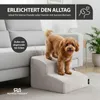 Scala per cani di piccola taglia con struttura tubolare | Anteprima dell’immagine prodotto 4