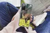 MuchoWow® Handyhülle Schutzhülle Hülle für Samsung Galaxy Produktbild-Vorschau 3