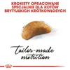Royal Canin Feline British Shorthair Kitten - 2 kg Podgląd zdjęcia produktu 6