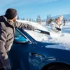 Fouet Kungs Max-Is avec grattoir à glace Voir les images du produit 7