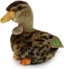 Plüsch-Wildente, 19 cm, umweltfreundlich Produktbild-Vorschau 6