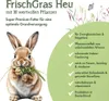 Bunny Foin d'herbe fraîche Pomme 500g Voir les images du produit 3