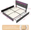 CDGlobal Polsterbett mit USB-Typ-C, LED Doppelbett Produktbild-Vorschau 7