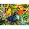 CASTORLAND Puzzle Barevní tukani 3000 dílků Produktbild-Vorschau 1
