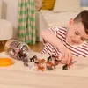 Terra - Animaux sauvages en boîte Figurines d'animaux - 60 Voir les images du produit 5