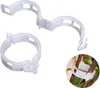 100 Stück Tomatenclips, Pflanzenclips, Wachstumsclips für Produktbild-Vorschau 2