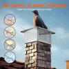 A bird is perched on a chimney cap, with icons indicating protection from birds, animals, leaves, and snow. Anteprima dell’immagine prodotto