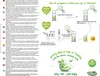 Capsule di tè Matcha alla vaniglia 20 pezzi, compatibili Anteprima dell’immagine prodotto 2