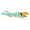 Safari Ltd Collared Lizard Blue / Yellow One Size Produktbild-Vorschau 2
