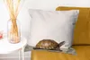 MuchoWow® Zierkissen Sofakissen Wohnzimmer Dekokissen 60x60 Produktbild-Vorschau 6