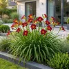 Green boutiQ - Staude - Hemerocallis Autumn Red - Taglilie Produktbild-Vorschau 6