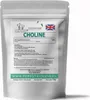 Forest Vitamin CHOLINE Cholin-Dihydrat 500 mg 100 Kapseln Produktbild-Vorschau 2