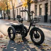 E Bike Dreirad Fat Klapprad E-Bike Lastenfahrrad Produktbild-Vorschau 7