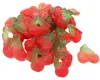 Gomme de fruit double cerises sans sucre doux fruité 300g Voir les images du produit 1
