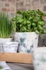Three potted plants, including basil and grass, sit on a wooden tray in front of a brick wall. Podgląd zdjęcia produktu