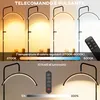 Lampada da Terra LED con Testa a Mezza Luna Anteprima dell’immagine prodotto 5