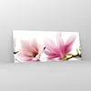 Bilder auf glas - Magnolie blume natur pflanze - 120x50cm - Produktbild-Vorschau 4