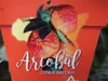 Arancio esotico Arcobal "Rainbow Orange" - Citrus sinensis Anteprima dell’immagine prodotto 2