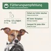 AniForte Seealgenmehl für Hunde 250g – Natürlicher Barf Produktbild-Vorschau 4
