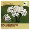 Samenliebe  Schafgarbe Samen | Wildblume - winterhart & Produktbild-Vorschau 1