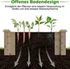 Diagram showing plant roots growing in a raised garden bed, illustrating the benefits of open soil design for better root development and water absorption. Podgląd zdjęcia produktu