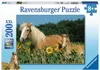 Ravensburger 12628 Ravensburger XXL Pferdeglück Puzzle 200 Náhled obrázku produktu 1