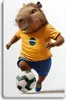 Dětský obraz pro mládež Capybara Fotbalista s kapybarou Náhled obrázku produktu 1