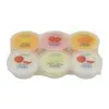 Cocon Nata de Coco Miscela per dessert 480 g Anteprima dell’immagine prodotto 4