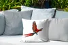 MuchoWow® Outdoor Kissen - Ara - Vogel - Porträt - 40x40 cm Produktbild-Vorschau 4