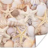 MuchoWow® Poster Seestern - Muscheln - Strand - Sommer Produktbild-Vorschau 1