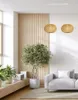 A living room scene with a sofa, plants, and pendant lights. Podgląd zdjęcia produktu