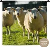 MuchoWow® Wandteppich Wandbehang Schafe - Tiere - Wolle Produktbild-Vorschau 1