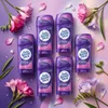 Lady Speed Stick Deo Stick - 6er Pack - Wild Freesia - Produktbild-Vorschau 3