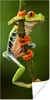 MuchoWow® Poster Rotaugenlaubfrosch im Dschungel 20x40 cm - Produktbild-Vorschau 1