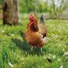 Rooster Decor Realistische lebensechte dekorative Produktbild-Vorschau 3