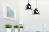 A corner of a room with two pendant lights hanging above a shelf with plants and a framed picture on the wall. Podgląd zdjęcia produktu