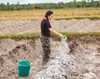 A woman is spreading white powder on a garden bed in a field. Produktbild-Vorschau