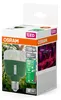 OSRAM 4058075845800 Grow light E-27 20 W 1 pc(s) Anteprima dell’immagine prodotto 2