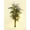 EUROPALMS Cycas cane palm, sztuczna roślina, 280 cm Podgląd zdjęcia produktu 3