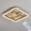 Plafonnier LED à intensité variable avec télécommande, en Voir les images du produit 4