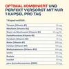 Witamina B Complete Hevert All-in-One ze wszystkimi 8 Podgląd zdjęcia produktu 4