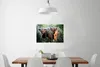 MuchoWow® Poster Schottische Highlander - Wald - Tiere Produktbild-Vorschau 2