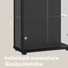 K-Möbel Vitrine en verre debout en noir (176x67x33 cm) avec Voir les images du produit 12